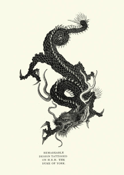 Japanese dragon tattoo design, 19th Century vector art illustration