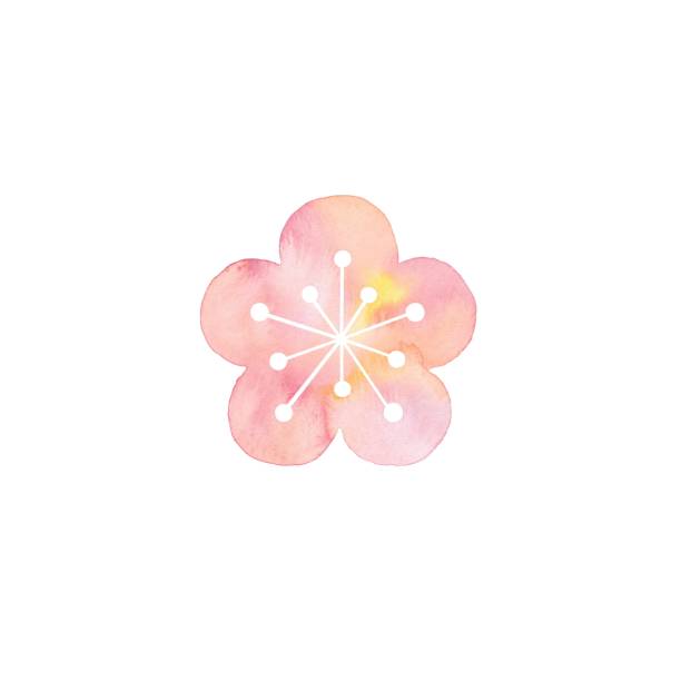 https www istockphoto com jp e3 82 a4 e3 83 a9 e3 82 b9 e3 83 88 e6 a2 85 e3 81 ae e8 8a b1