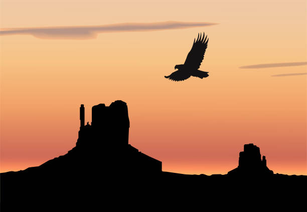 Landscape background. Western desert. Landscape background. Western desert. Rocks. Flying eagle. Colorful sky. desert area silhouettes stock illustrations