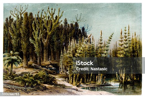 istock Landscape of the Coal Period. View of the prehistoric landscape of the Karbon with trees and ferns at a lake 1306166783