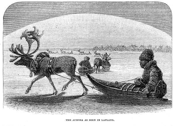 Laplander in reindeer sleigh Aurora Borealis from 1880 journal vector art illustration