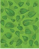 istock leaf background 93135300