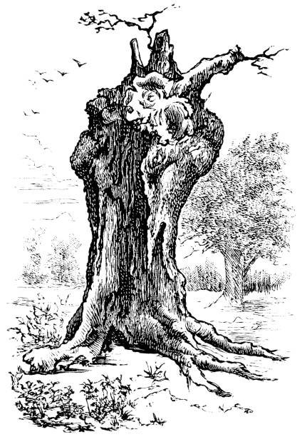 bildbanksillustrationer, clip art samt tecknat material och ikoner med lion oak på hatfield house i hatfield, england - 1800-talet - hatfield
