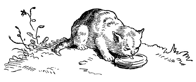 Little Cat Drinking Milk Stock Illustration - Download Image Now - iStock