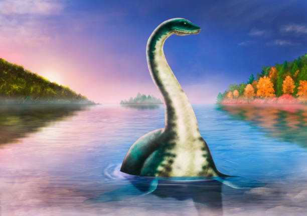 Loch Ness monster on the background of a picturesque lake. The Loch Ness monster emerged from the water against the backdrop of a picturesque lake. loch ness monster stock illustrations