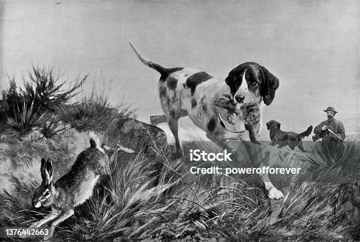 istock Look Out! Here’s Something Else!/Hunting Dog, Painting by Carl Friedrich Deiker - 19th Century 1376442663
