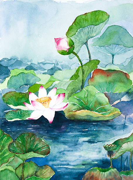 lotus flower watercolor painted lotus flower watercolor on paper painting art product stock illustrations