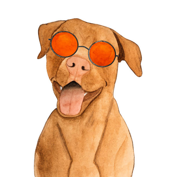 Lovable, pretty pet and sunglasses. Beautiful drawing Lovable, pretty pet and sunglasses. Beautiful drawing with watercolors. Close-up. Vacation and travel concept cartoon sun with sunglasses stock illustrations