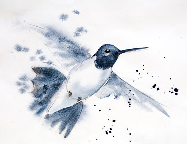 Male Hummingbird in Flight vector art illustration