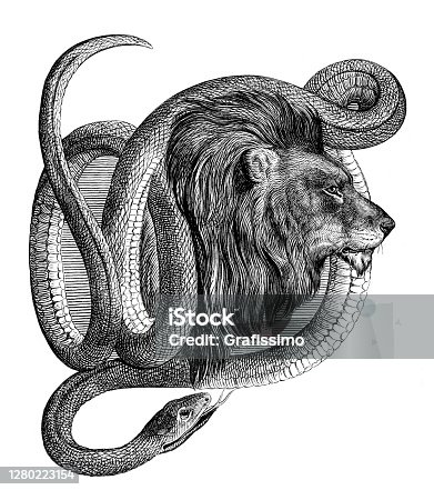 istock Male Lion with snake around head illustration 1861 1280223154