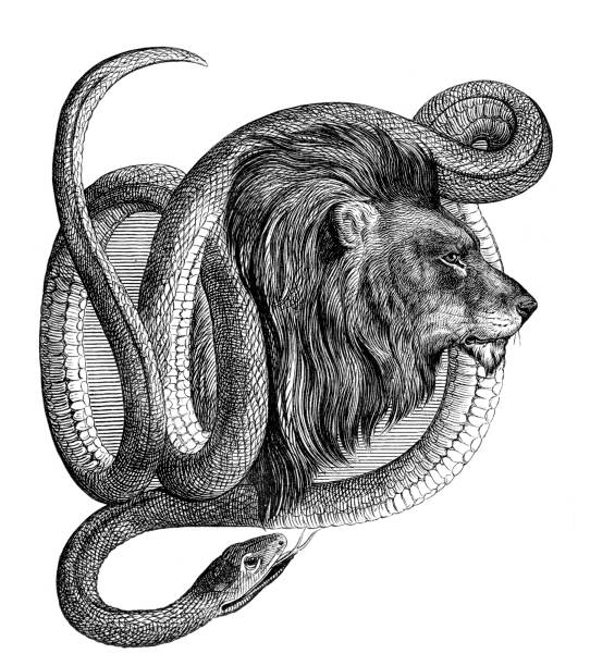 bildbanksillustrationer, clip art samt tecknat material och ikoner med man lion med orm runt huvud illustration 1861 - däggdjur