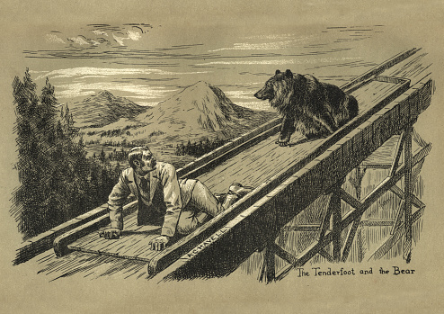 Vintage engraving of Man chased by a bear down a wooden shoot, Victorian, 19th Century.  The Tenderfoot and the bear, A lightning toboggan ride by Wilf Pocklington