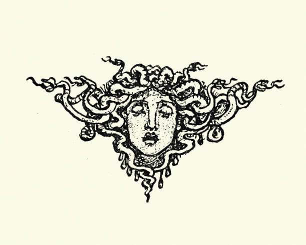 메두사의 머리, 고르곤, 고대 그리스 신화 - medusa stock illustrations