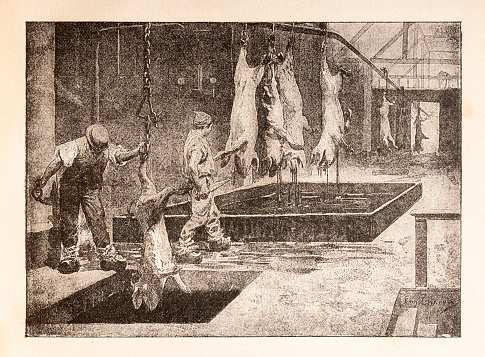 Men working at slaughterhouse
Armour & Company was an American company and was one of the five leading firms in the meat packing industry. It was founded in Chicago, in 1867, by the Armour brothers led by Philip Danforth Armour. By 1880, the company had become Chicago's most important business and had helped make Chicago and its Union Stock Yards the center of America's meatpacking industry.
Original edition from my own archives
Source : Vida en America 1899