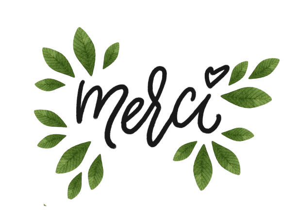 Merci. Hand drawn lettering with green watercolor leaves. Merci. Hand drawn lettering with green watercolor leaves. Modern mono width brush calligraphy for stickers, blogs and social media. Inspirational quotes for prints and posters. french language stock illustrations