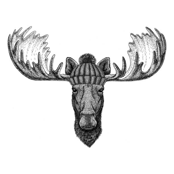 麋鹿，麋鹿穿著冬季針織帽子 - 印有圖像t恤 插圖 幅插畫檔、美工圖案、卡通及圖標