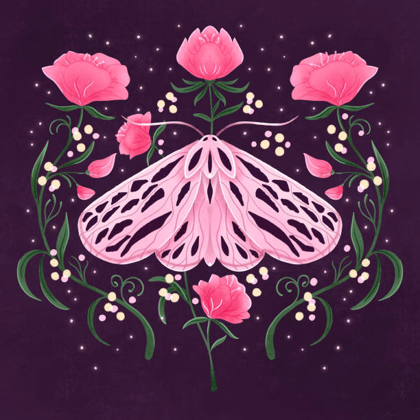 Moth and floral motifs, pattern design in symmetry. Colorful illustration with moth, flowers, floral elements and stars. vector art illustration