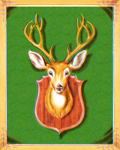 bildbanksillustrationer, clip art samt tecknat material och ikoner med mounted deer head - deer dead
