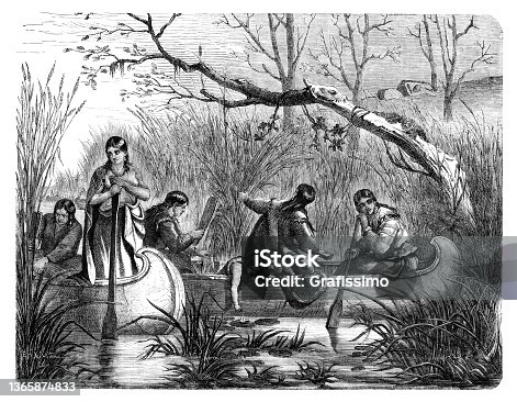 istock Native american people harvesting wild rice in river 1869 1365874833