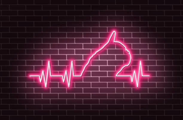 ilustrações de stock, clip art, desenhos animados e ícones de neon heart pulse, french bulldog - doctor wall