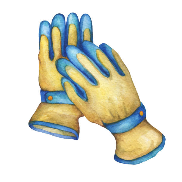 Gardening Gloves Illustrations Royalty Free Vector Gardening Gloves Illustrations Royalty Free Vector