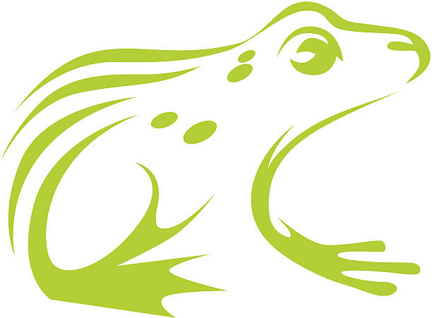 illustrazioni stock, clip art, cartoni animati e icone di tendenza di northern rana leopardo - ranocchia