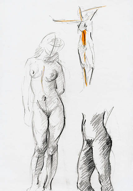Nude women pencil drawing