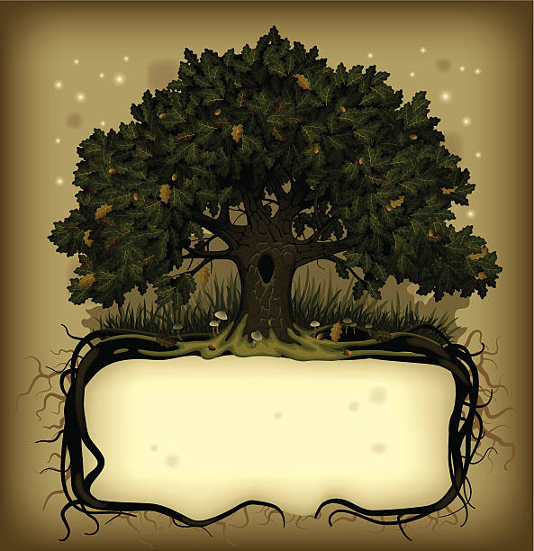 Oak tree wih a banner Vector old-fashioned banner with fairy-tale rooted oak tree copse stock illustrations