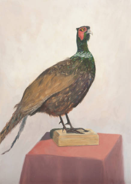 Oil painted portrait of pheasant on canvas vector art illustration