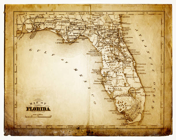 old map of florida - abd güney kıyısı eyaletleri stock illustrations