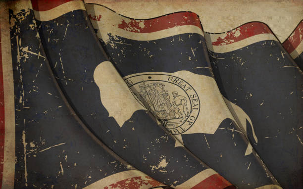 старая бумажная печать - развевающийся флаг штата вайоминг - buffalo stock illustrations