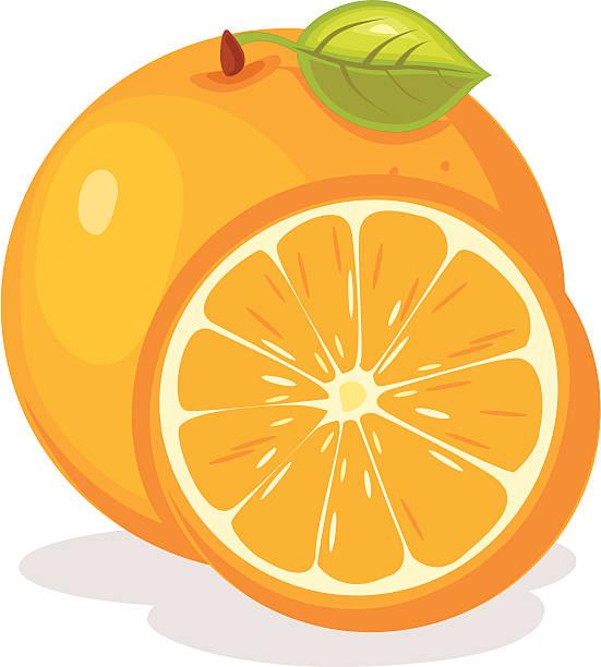 Cartoon Orange Cut In Half Cartoon Orange Cut In Half