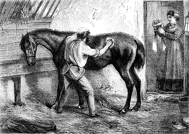 bildbanksillustrationer, clip art samt tecknat material och ikoner med ostler grooming horse in stable (victorian illustration) - working stable horses