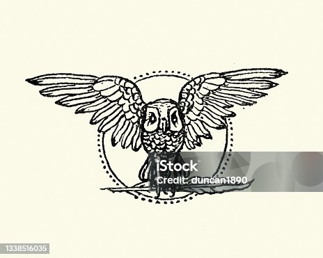 istock Owl with spread wings carrying a quill, wise, writing, knowledge, symbols 1338516035