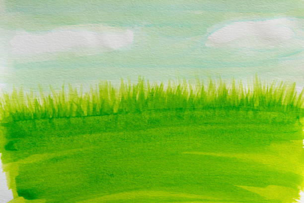 stockillustraties, clipart, cartoons en iconen met painted landscape - grass texture