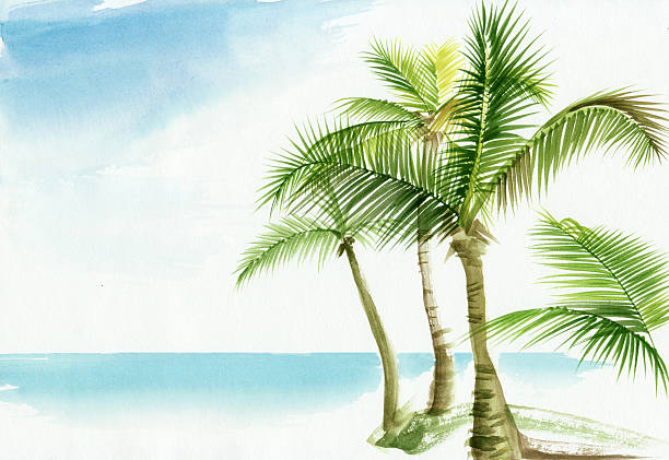 Palm beach resort vector art illustration