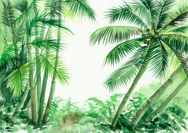 Palm jungle vector art illustration