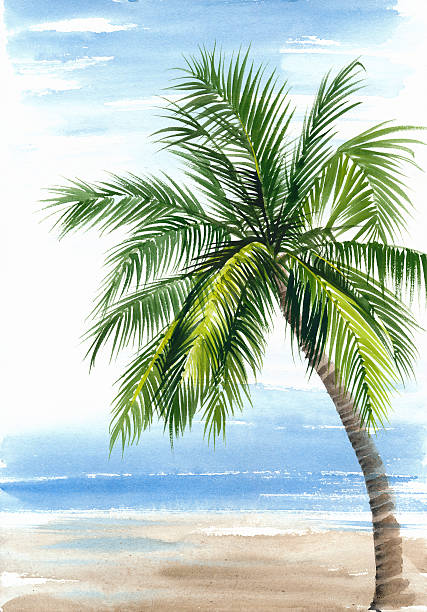 Palm seashore resort view vector art illustration