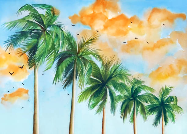 illustrazioni stock, clip art, cartoni animati e icone di tendenza di palme contro cielo blu con nuvole arancioni - venice