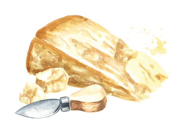 parmezan i nóż. ręcznie rysowana ilustracja akwarelowa, wyizolowana na białym tle - crumble stock illustrations