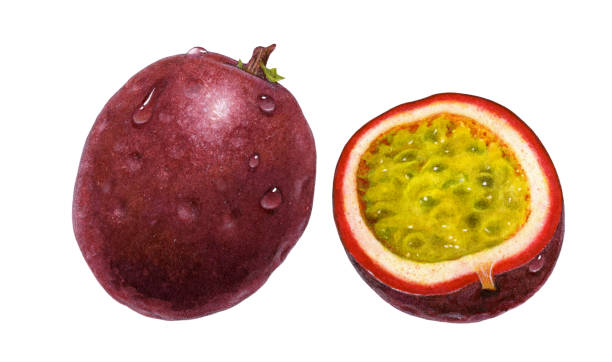 ilustrações de stock, clip art, desenhos animados e ícones de passion fruit - granadilla