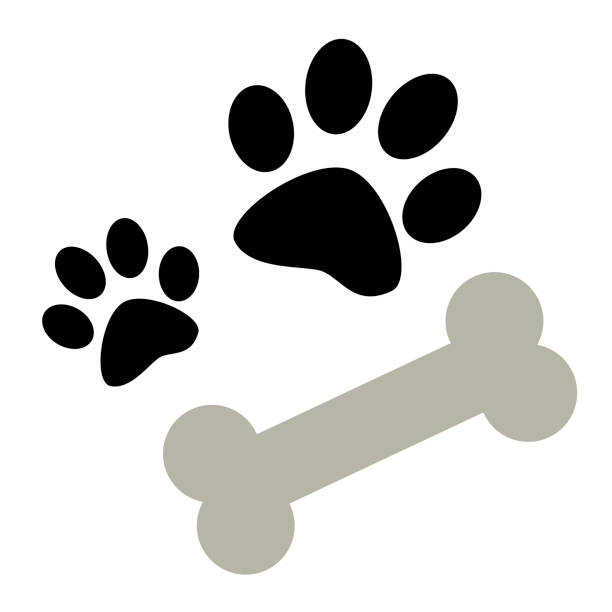 https www istockphoto com jp e3 82 a4 e3 83 a9 e3 82 b9 e3 83 88 e7 8a ac e8 82 89 e7 90 83