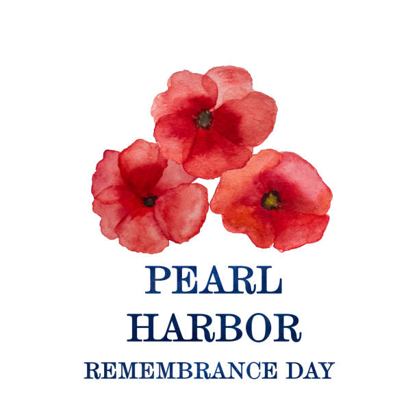 ilustraciones, imágenes clip art, dibujos animados e iconos de stock de día del recuerdo de pearl harbor. inscripción de saludo. fiesta nacional - pearl harbor