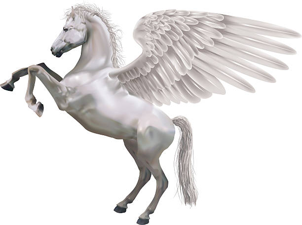 Pegasus  pegasus stock illustrations