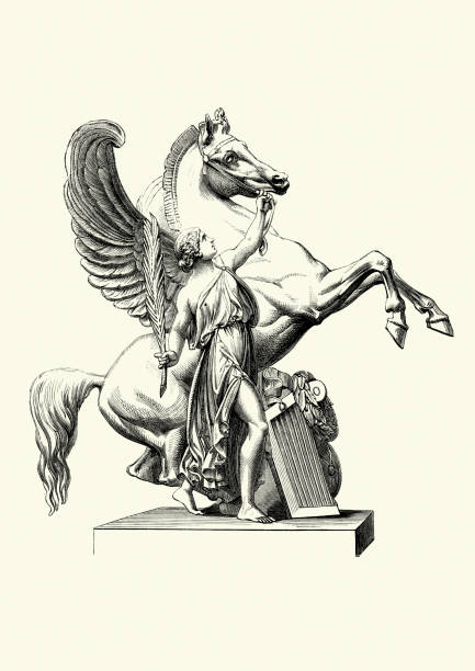 Pegasus the Winged Horse Vintage engraving of Pegasus one of the best known creatures in Greek mythology. He is a winged divine stallion usually depicted as pure white in color. He was sired by Poseidon, in his role as horse-god, and foaled by the Gorgon Medusa. pegasus stock illustrations