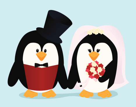 Penguin Bride and Groom