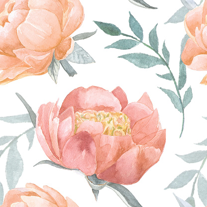 Peony Blooming Watercolor Seamless Pattern Stock Illustration ...