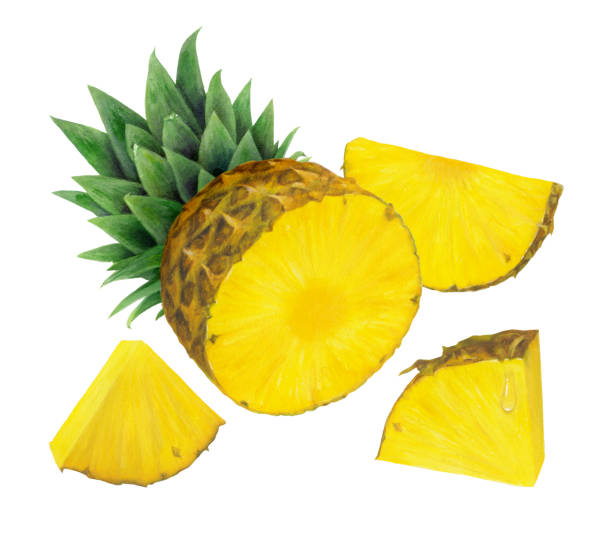 Pineapple Half and Wedge vector art illustration
