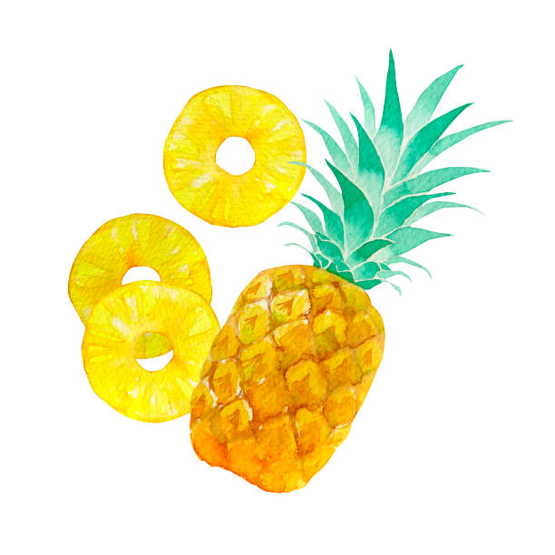 Pineapple Rings Illustrations, Royalty-Free Vector ...