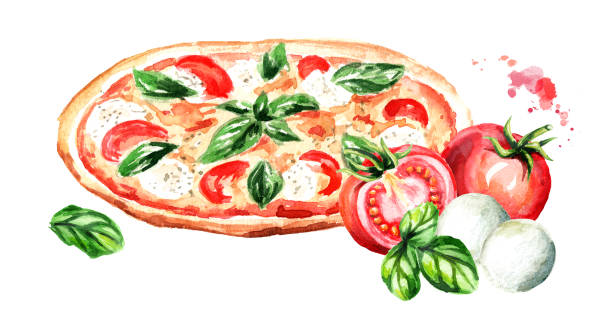 Pizza with tomatoes, mozzarella cheese and Basil leaves. Watercolor hand drawn illustration isolated on white background Pizza with tomatoes, mozzarella cheese and Basil leaves. Watercolor hand drawn illustration isolated on white background margherita stock illustrations